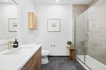Frameless shower doors*